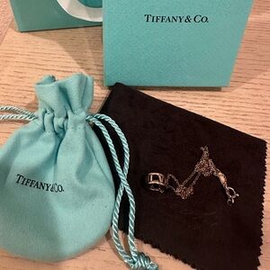 Tiffany & Co. Silver Atlas Necklace